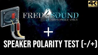 Speaker Polarity Check  Test Tone FredNsound [upl. by Tressia]