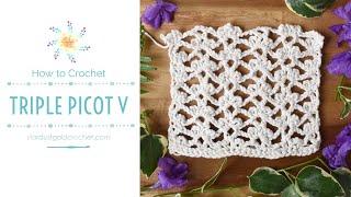 Triple Picot V Stitch Tutorial  Stitch Explorers  Learn to Crochet [upl. by Christabella849]