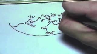 Triose Phosphate Isomerase [upl. by Sayers]