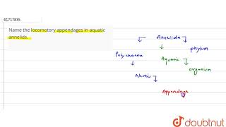 Name the locomotory appendages in aquatic annelids [upl. by Heaps]