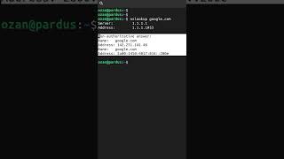 nslookup Komutu  Temel Linux Komutları pardus linux [upl. by Yzeerb]