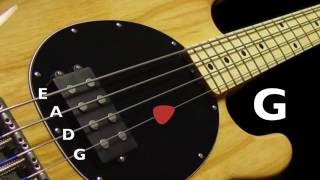 Bass Tuner  Standard Bass Tuning E A D G 4 Strings [upl. by Rosalie]