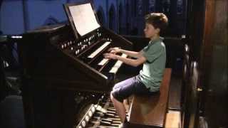 Ciaconna W van Twillert played by Antoine Anneessens on pipe organ at Halluin [upl. by Uase835]