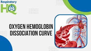 Oxygen Hemoglobin Dissociation Curve [upl. by Esorylime]