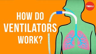 How do ventilators work  Alex Gendler [upl. by Haleak]