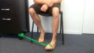 Ankle Theraband Strengthening Exercises [upl. by Wilfred576]