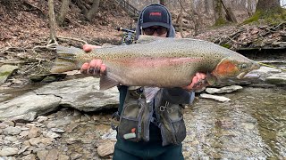 Steelhead Fishing 2023 Erie Pa [upl. by Disraeli]