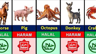 Halal and Haram Animal Meat in Islam [upl. by Spenser]