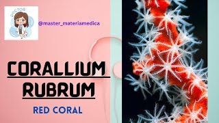 CORALLIUM RUBRUM   MATERIA MEDICA [upl. by Waiter]