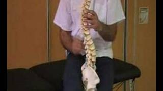 Nº 100 Humor y fisioterapia Funcionamiento de la COLUMNA VERTEBRAL spine how it works [upl. by Anetta]