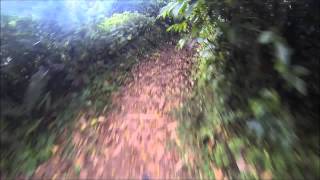 Riding La Soufrière Volcano  MTB Descent  St Vincent [upl. by Arretnahs]