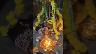 Tulsi Vivah ki Hardik shubhkamnaye sabko 🙏🙏🙏🙏 [upl. by Tija834]