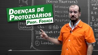 Biologia  Doenças de Protozoários [upl. by Julia320]