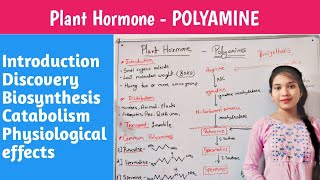 Plant Hormone  polyamines  biosynthesis  hindi  catabolism  physiology effect  chelsi [upl. by Latoniah]