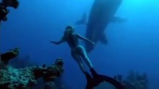 Amazing Swimming with Humpback Mother amp Calf  Diving with Whales  BBC Studios [upl. by Orv]