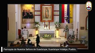 EN VIVO Celebración Eucarística Misa de Sa ta Maria en sábado [upl. by Huntley826]