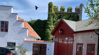 Sweden Walks Visby Semi guided tour along the medieval defensive wall of World heritage town [upl. by Rodenhouse140]