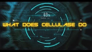 What does cellulase do [upl. by Elahcim]