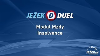 Ježek software DUEL  Insolvence [upl. by Palecek]