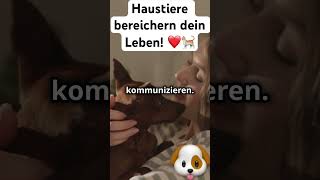 Haustiere bereichern dein Leben ❤️ Von Glück bis Gesundheit – Gründe warum du eins brauchst 🐶🐱 [upl. by Harli]