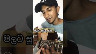 Malata Suwadase  මලට සුවඳ සේ  Guitar Cover amp Lesson  Guitar cover by Ushanchinthaka [upl. by Amre]