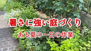 【猛暑でも元気な森庭の秘訣】暑い夏に私がやっている畑や庭での仕事紹介 [upl. by Hike]