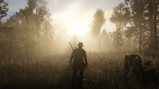 Bounty Hunters in Fort Wallace  RDR2  Part 98 [upl. by Leitnahs]