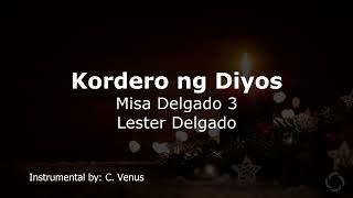 Kordero ng Diyos Misa Delgado 3 Instrumental [upl. by Markowitz]