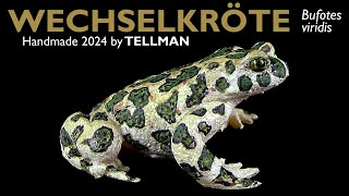 Wechselkröte Bufotes viridis realistisches 2024 handmade Modell von TellMan  Unboxing [upl. by Alleris433]