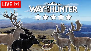 🔴🇪🇦🔴🫎Caza de Trofeos 5 estrellas en WAY OF THE HUNTER🐗🎮PS5 [upl. by Kelam]