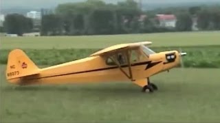 RC Piper J3 Cub 14 I [upl. by Nailliw]