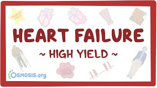 Heart failure Pathology review [upl. by Enilatan]