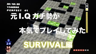 【IQ FINAL】2000000点を超えるまで元IQガチ勢がプレイし続けた結果〈SURVIVAL編〉【Kurushi Final】 [upl. by Aicilaanna]