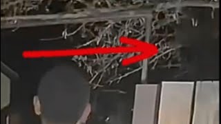 Las Vegas alien video shows at least 2 ‘beings’ using ‘cloaking’ device  UPDATE [upl. by Noemys]