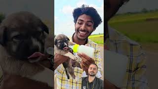 चलती🏍️गाड़ी में kutta🐶बनना funny dog new [upl. by Kirimia47]