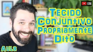 Tecido Conjuntivo Propriamente Dito  Frouxo Denso Modelado e Não Modelado  Prof Samuel Cunha [upl. by Thom]