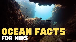 Ocean Facts for Kids  Learn interesting facts about the worlds largest pool [upl. by Selia]