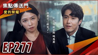 《焦點傳送門》愛的榮耀 EP277｜惠君化身血腥馬莉！合作夥伴竟是他！失憶CP鬧離婚！瑞德終於解脫？ [upl. by Darla616]