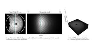 Monarc Cathodoluminescence Detector WARCL [upl. by Laspisa]