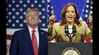 Noticiero 5pm ¿Qué dicen las últimas encuestas Harris vs Trump [upl. by Bernette46]