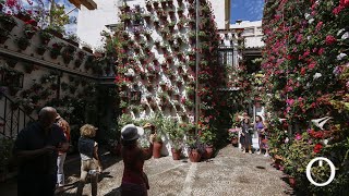 LOS PATIOS DE CÓRDOBA  Ruta 6  Alcázar Viejo [upl. by Brett718]