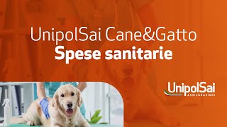 UnipolSai CneampGtto  spese sanitarie [upl. by Yenitsed460]