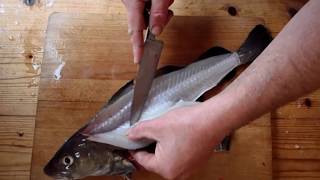 Filleting A Cod or Codling Cooking Fish [upl. by Enimrac168]