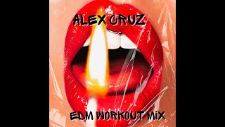 Alex Cruz  EDM Workout Mix Vol 01 [upl. by Norabel]