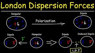 London Dispersion Forces amp Temporary Dipole  Induced Dipole Interactions  Intermolecular Forces [upl. by Ainitsirk]