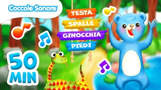 Testa Spalle Ginocchia e Piedi  45 minuti di Canzoni per Bambini  Coccole Sonore [upl. by Aikemot650]