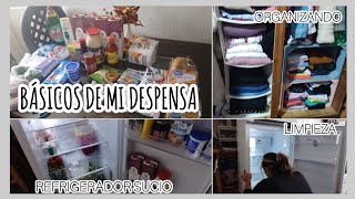 BÁSICOS PARA LA DESPENSA🛒 LIMPIEZA DE REFRIGERADOR 🧽🧼 ORGANIZANDO [upl. by Adina]