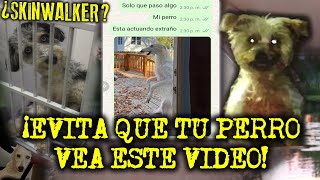 ¡EVITA QUE TU PERRO VEA ESTE VIDEO  RELATOS DE PERROS ACTUANDO COMO HUMANOS SKINWALKERS [upl. by Anselma]