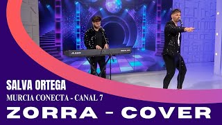 Nebulosa  ZORRA  Versión cover  Salva Ortega  TELEVISIÓN [upl. by Alol]