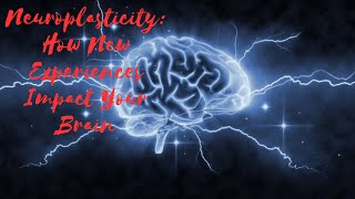 Neuroplasticity How New Experiences Impact Your Brain [upl. by Atreb479]